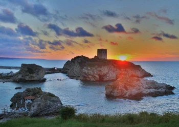 Şile Evden Eve Nakliyat